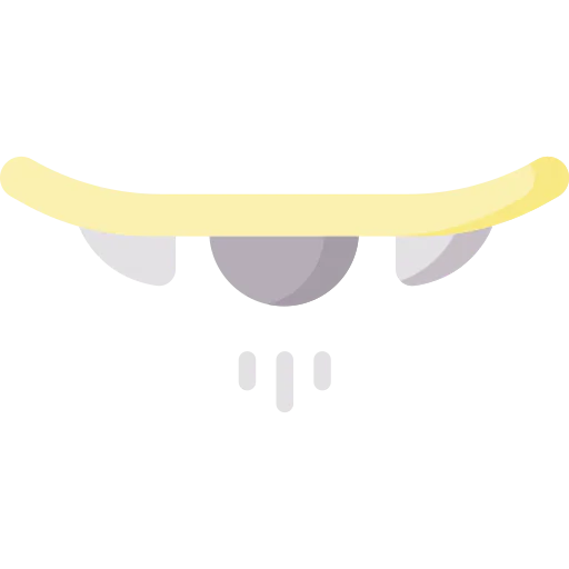 Flying icon