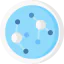 Research icon 64x64