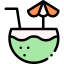 Coconut drink icon 64x64