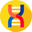 Dna icon 64x64