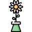 Daisy icon 64x64