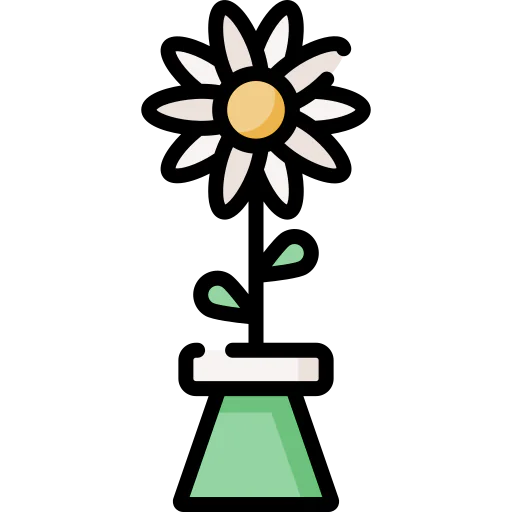 Daisy icon