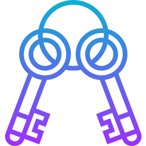 Key icon