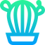 Cactus アイコン 64x64