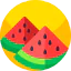 Watermelon icon 64x64