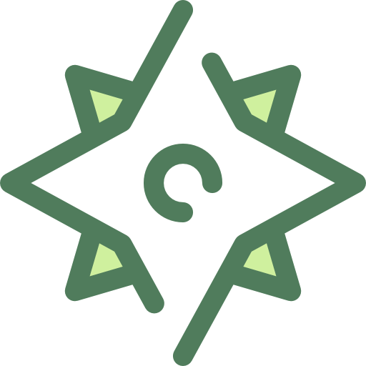 Wind rose icon