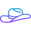 Cowboy hat icon 64x64