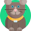 Scottish fold cat icon 64x64