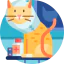 Cat icon 64x64