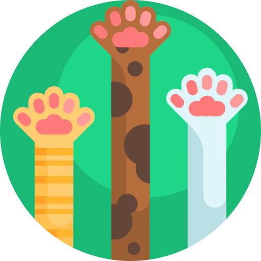 Paws icon