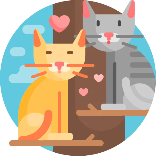 Cat icon