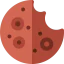 Cookie icon 64x64