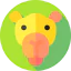 Верблюд иконка 64x64