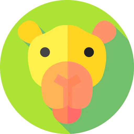 Camel icon