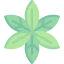 Leaves icon 64x64