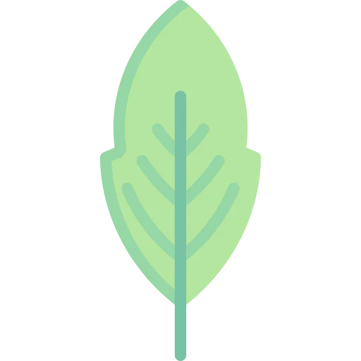 Leaf icon