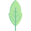 Leaf icon 64x64