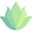 Aloe vera icon 64x64
