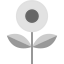 Flower icon 64x64