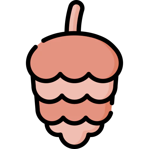 Pine icon
