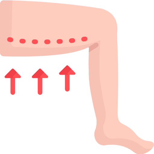 Leg icon
