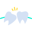 Wisdom tooth biểu tượng 64x64