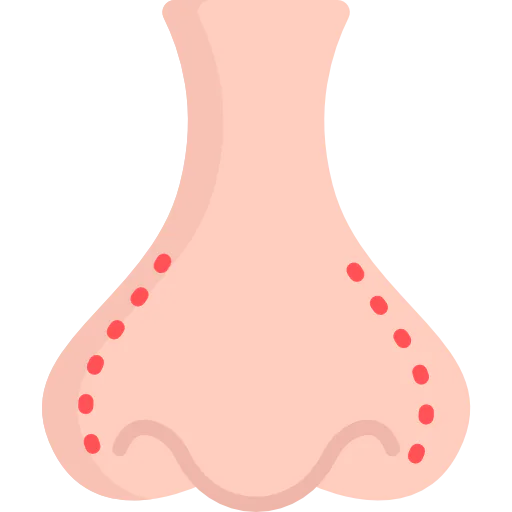 Nose icon