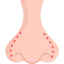 Nose Ikona 64x64
