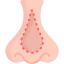 Nose Ikona 64x64
