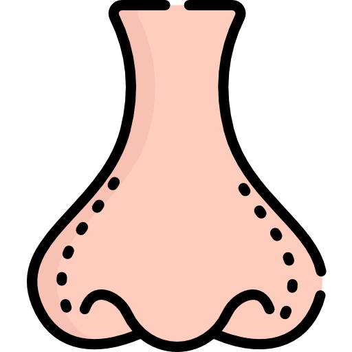 Nose icon