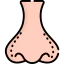 Nose Ikona 64x64
