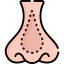 Nose Ikona 64x64