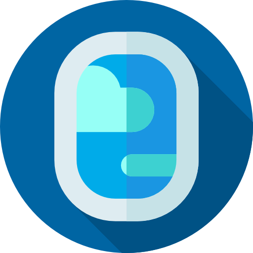 Window icon