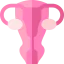 Uterus icon 64x64