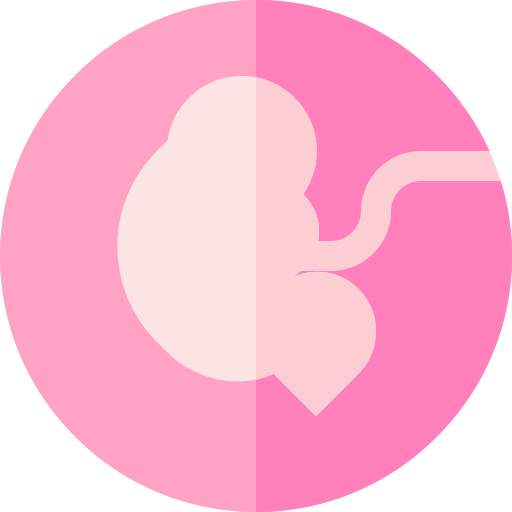 Fetus icon