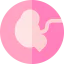 Fetus icon 64x64