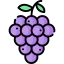 Grapes icon 64x64