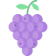Grapes icon 64x64