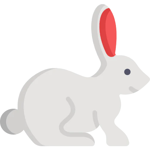 Rabbit icon