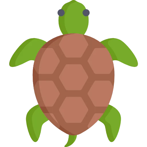 Tortoise icon
