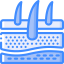 Dermis icon 64x64