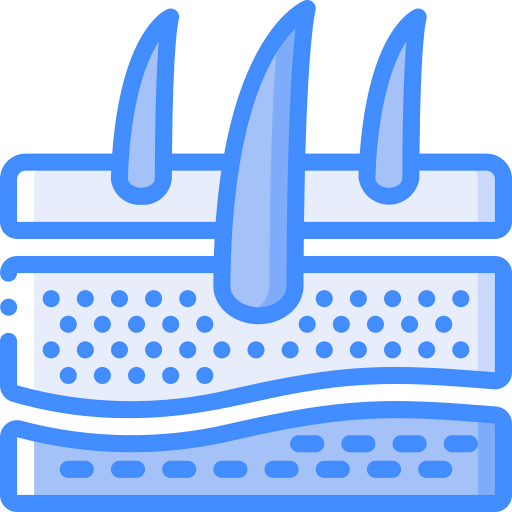 Dermis icon