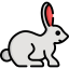 Rabbit Symbol 64x64