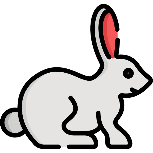 Rabbit icon