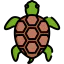Tortoise icône 64x64