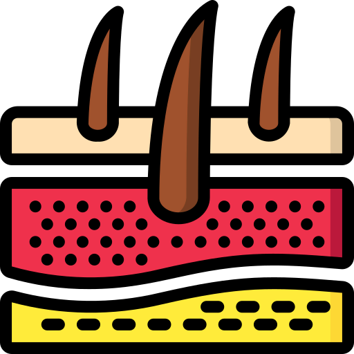 Dermis icon