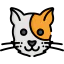 Cat icon 64x64