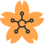 Lotus icon 64x64