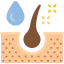 Dermis icon 64x64