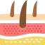 Dermis icon 64x64